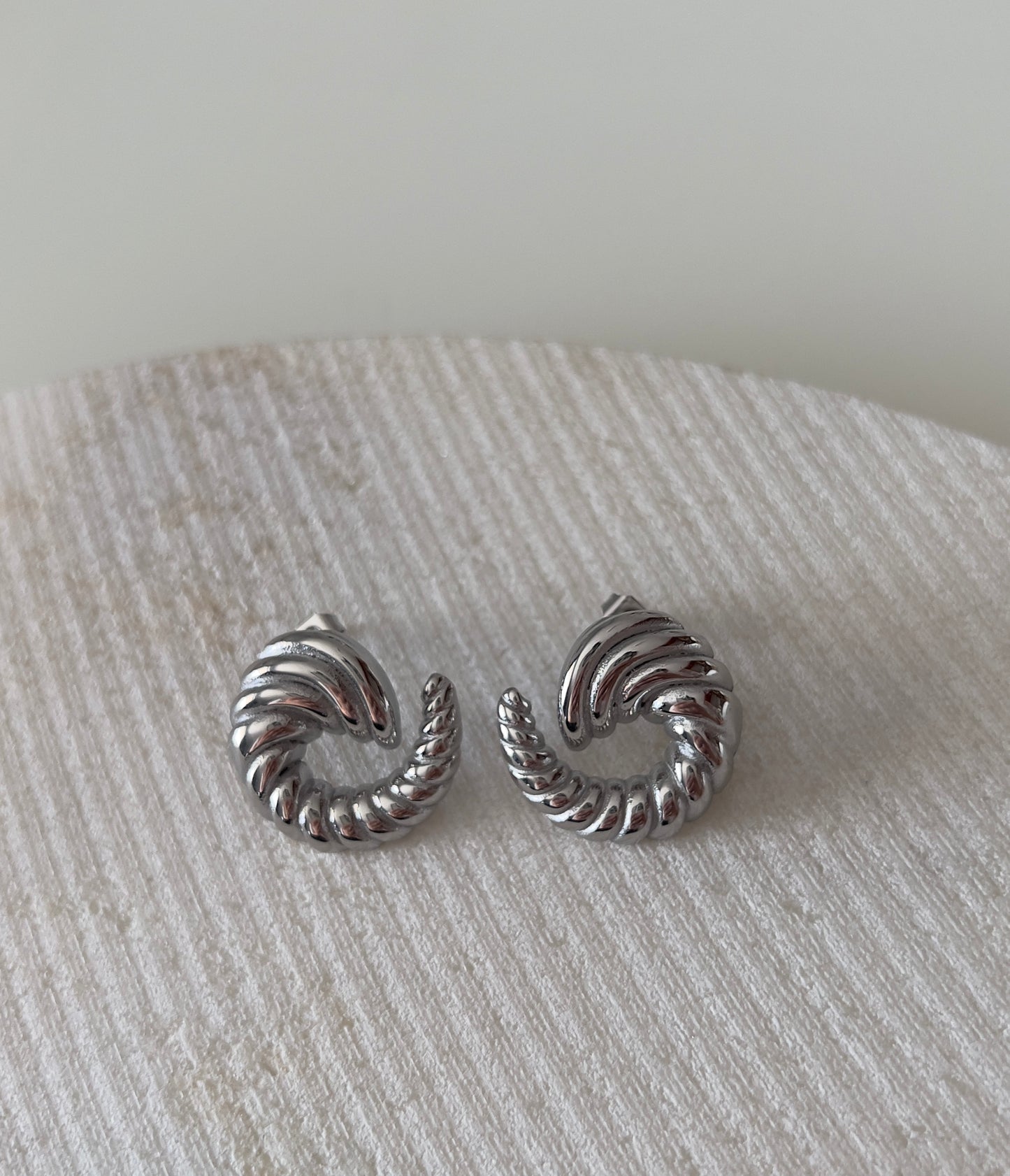 Horn earrings