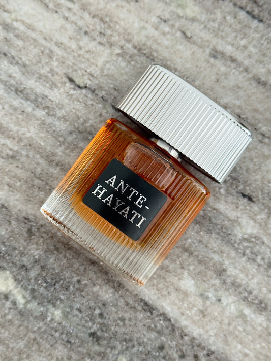ANTE HAYATI