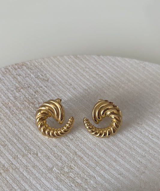 Horn earrings