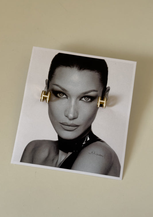 H earrings