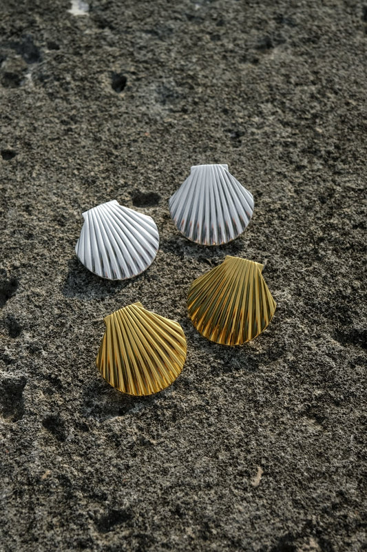 Shell earrings