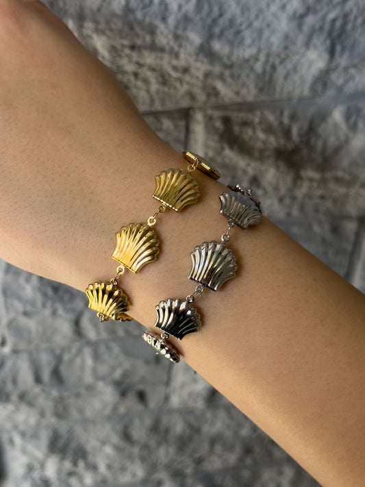 🐚 bracelet