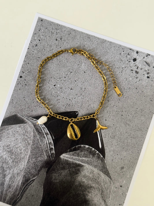 🐚 anklet